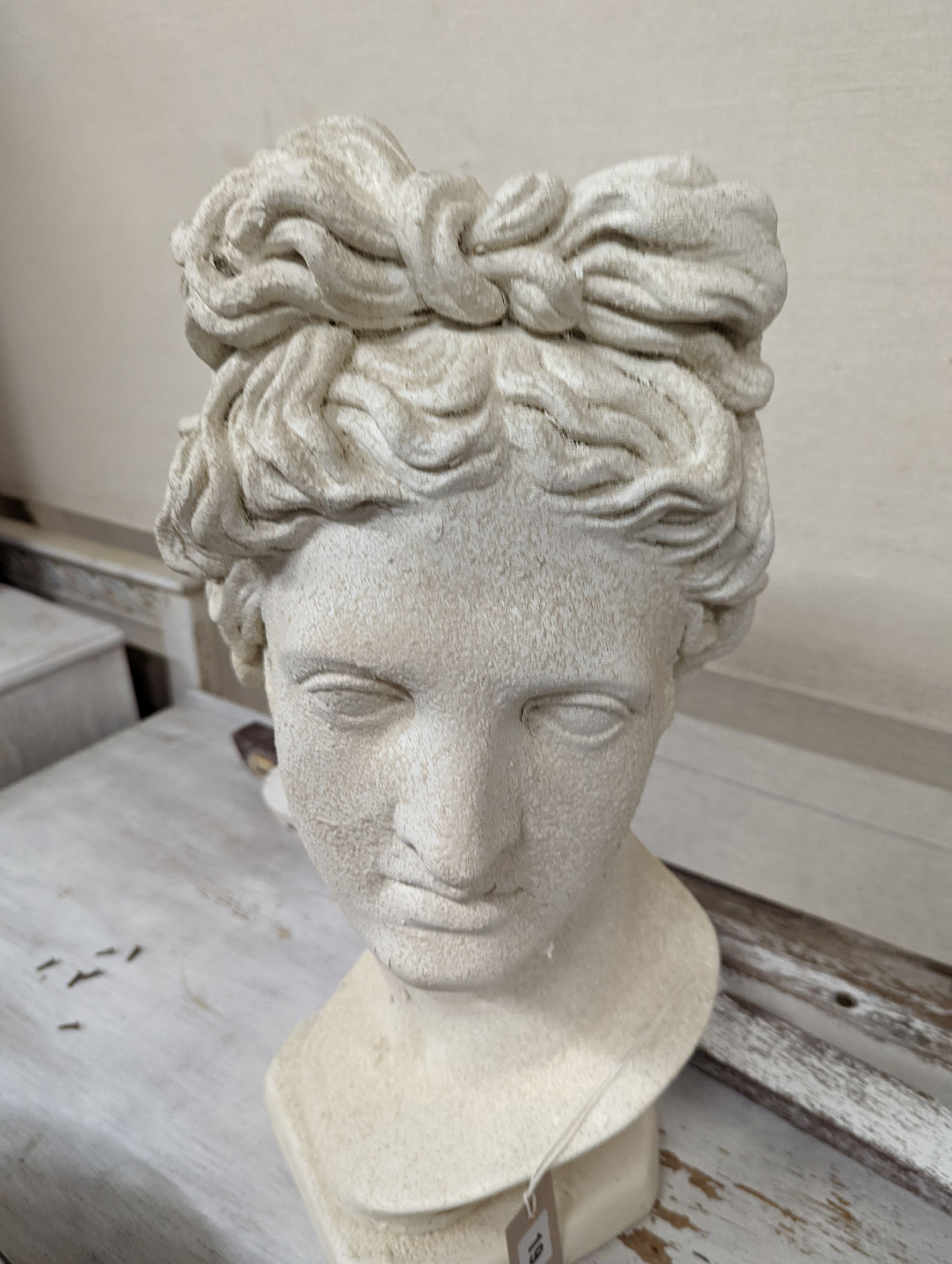 A plaster classical female bust. H-50cm.
